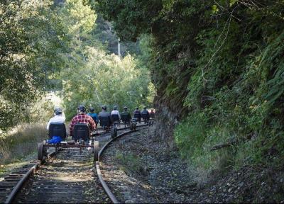 تور بازدید از جنگل با قطار پدالی ، راستا قطارهای از کار افتاده جاذبه گردشگری می شوند