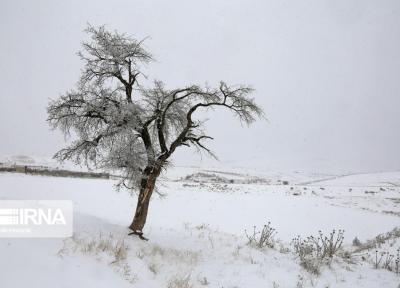 خبرنگاران برف جهت سه روستای دهدز را مسدود کرد