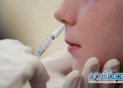 محققان آمریکایی با موفقیت یک واکسن استنشاقی کرونا را آزمایش کردند