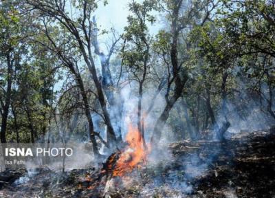 کنترل آتش سوزی جنگل های گچساران