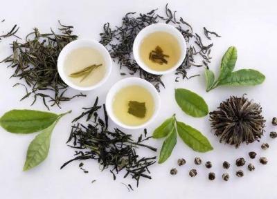 این نوشیدنی موجب طول عمر و پیشگیری از پیری مغز می شود!