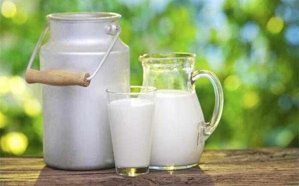 تصویب قیمت 6400 تومان برای شیر خام