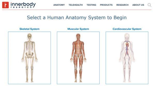 آناتومی بدن انسان را به صورت ساده، تصویری و تعاملی با سایت Inner Body یاد بگیرید