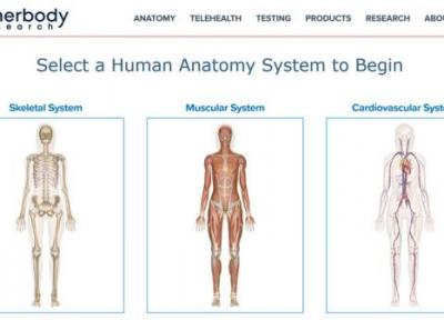 آناتومی بدن انسان را به صورت ساده، تصویری و تعاملی با سایت Inner Body یاد بگیرید