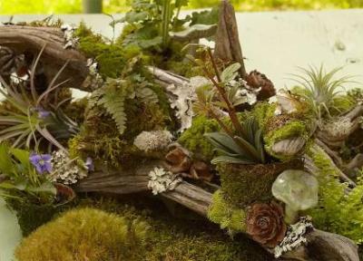 باغی برای وسط میز
